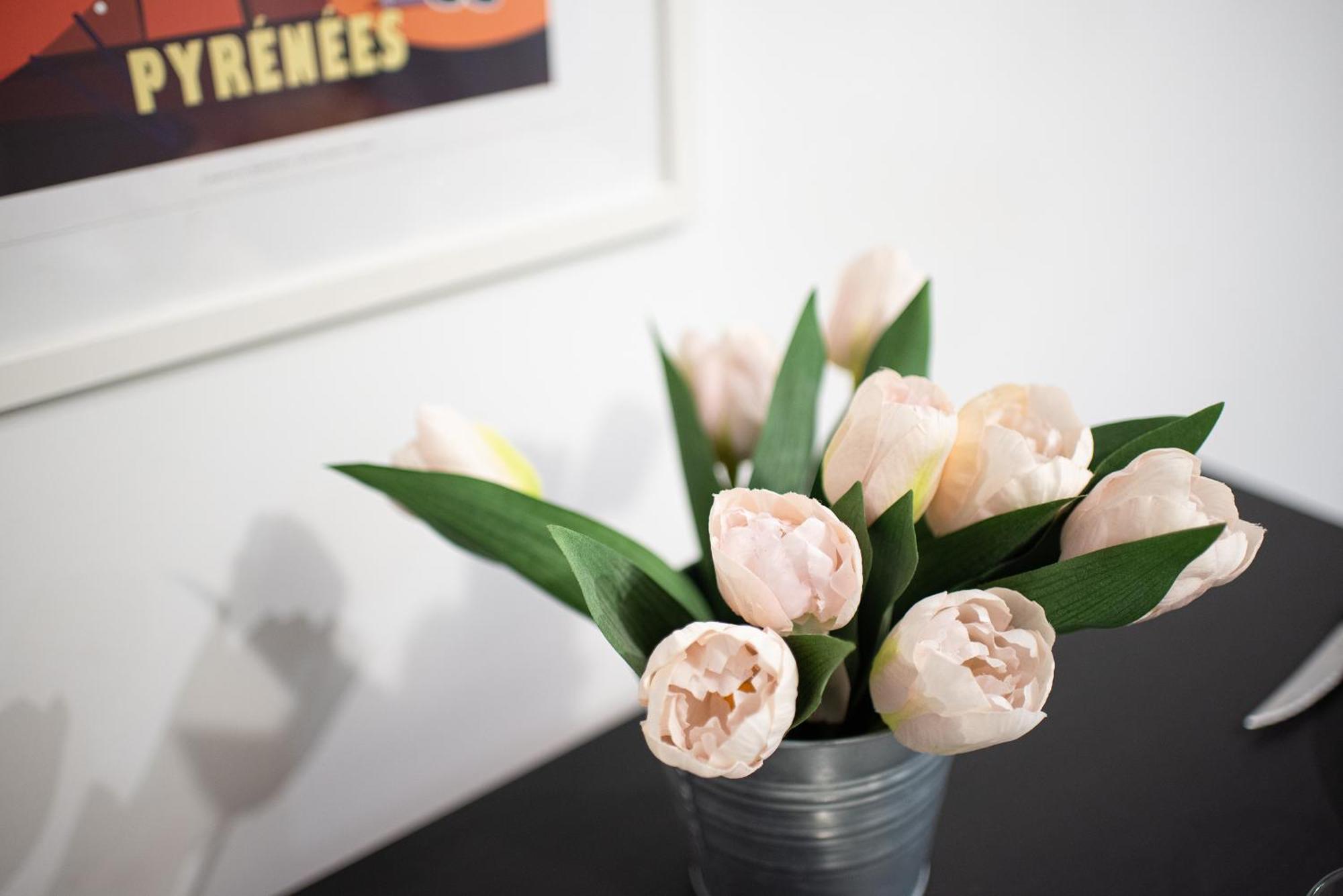 Studio Cosy Toulouse Centre 외부 사진